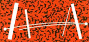 HAA Logo